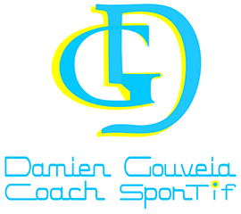 Logo Damien Gouveia